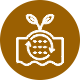 Enhances Soil Health